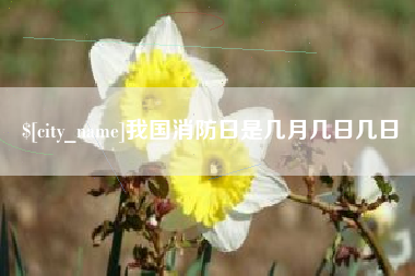河北我国消防日是几月几日几日