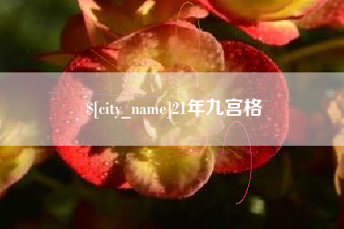 河北21年九宫格