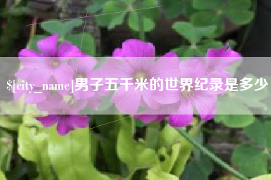 河北男子五千米的世界纪录是多少
