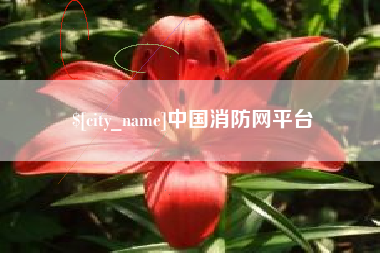 河北中国消防网平台