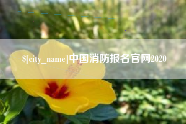 河北中国消防报名官网2020