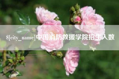 河北中国消防救援学院招生人数