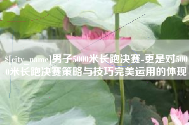 河北男子5000米长跑决赛-更是对5000米长跑决赛策略与技巧完美运用的体现