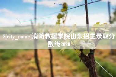 河北消防救援学院山东招生录取分数线2020