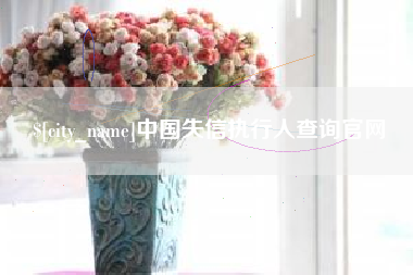 河北中国失信执行人查询官网