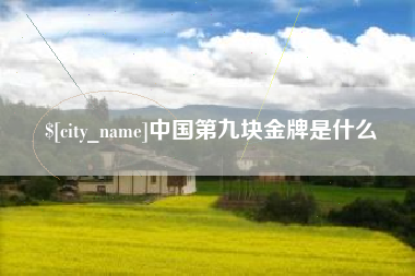 河北中国第九块金牌是什么