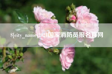 河北2021国家消防员报名官网