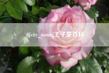 河北王子豪百科
