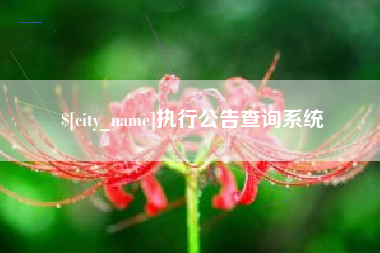 河北执行公告查询系统