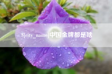 河北中国金牌都是啥