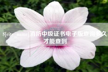 河北消防中级证书电子版查询多久才能查到