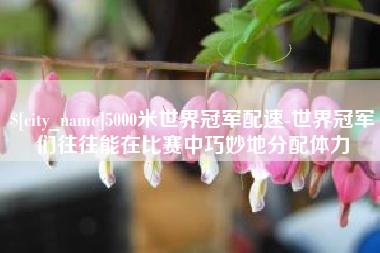 河北5000米世界冠军配速-世界冠军们往往能在比赛中巧妙地分配体力