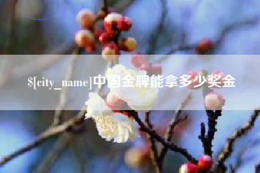 河北中国金牌能拿多少奖金