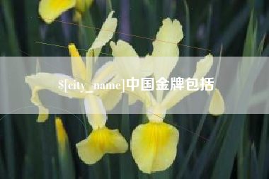 河北中国金牌包括
