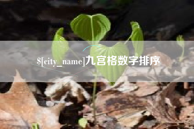 河北九宫格数字排序