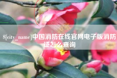 河北中国消防在线官网电子版消防证怎么查询