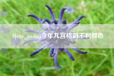 河北今年九宫格的不利颜色