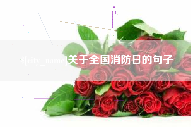 河北关于全国消防日的句子