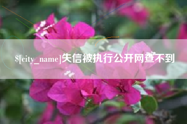 河北失信被执行公开网查不到