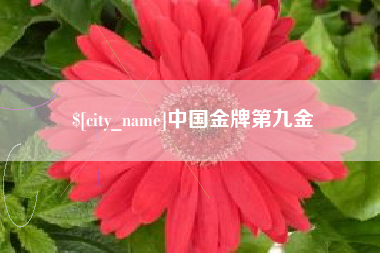 河北中国金牌第九金
