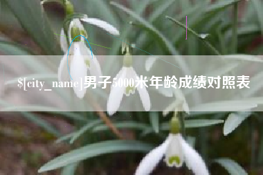 河北男子5000米年龄成绩对照表