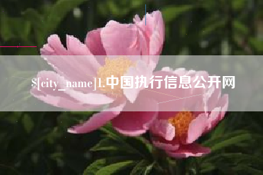 河北1.中国执行信息公开网