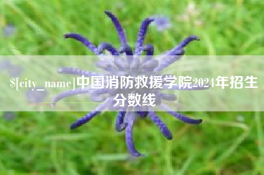 河北中国消防救援学院2024年招生分数线
