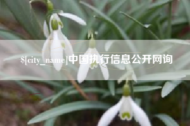 河北中国执行信息公开网询