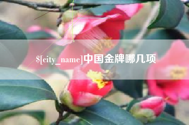 河北中国金牌哪几项