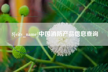 河北中国消防产品信息查询