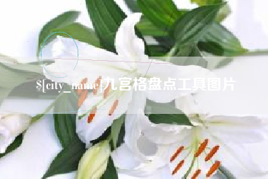河北九宫格盘点工具图片