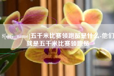 河北五千米比赛领跑员是什么-他们就是五千米比赛领跑员