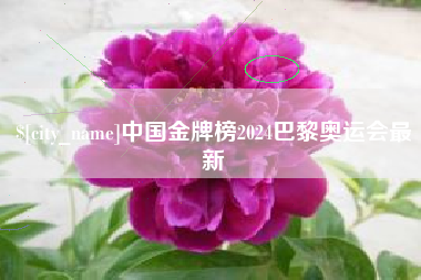 河北中国金牌榜2024巴黎奥运会最新
