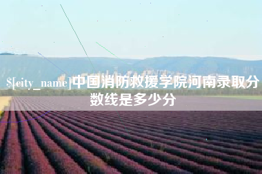 河北中国消防救援学院河南录取分数线是多少分