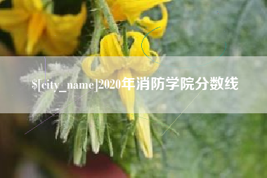 河北2020年消防学院分数线