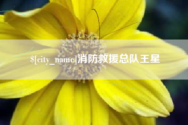 河北消防救援总队王星