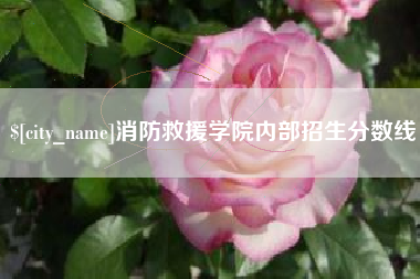 河北消防救援学院内部招生分数线