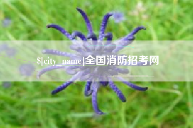 河北全国消防招考网