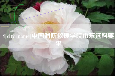 河北中国消防救援学院山东选科要求