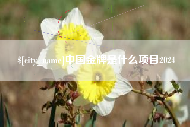 河北中国金牌是什么项目2024