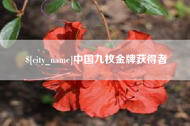 河北中国九枚金牌获得者