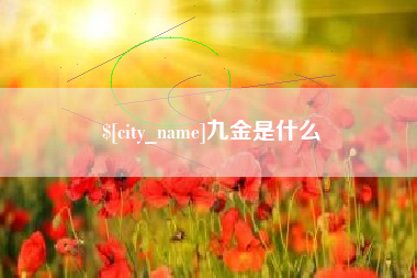 河北九金是什么