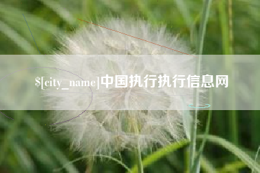 河北中国执行执行信息网