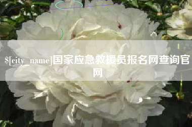 河北国家应急救援员报名网查询官网