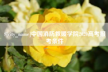 河北中国消防救援学院2020高考报考条件