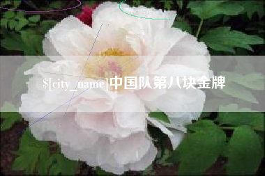 河北中国队第八块金牌