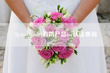 河北消防产品ccc认证查询