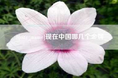 河北现在中国哪几个金牌