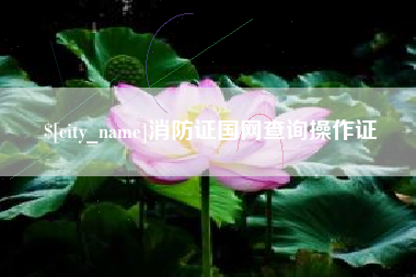 河北消防证国网查询操作证