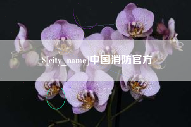河北中国消防官方